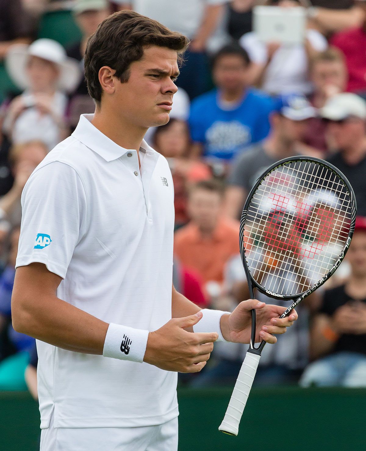 Raonic_Milos.jpg